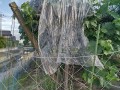 IMG_20250720_173439