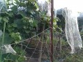 IMG_20250720_173440