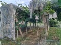 IMG_20250720_173503