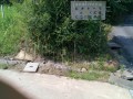 IMG_20250721_103429
