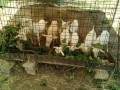 IMG_20250721_103824