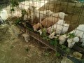 IMG_20250721_103830