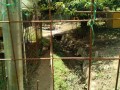 IMG_20250721_103900