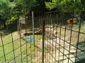 IMG_20250721_103916