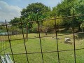 IMG_20250721_103920