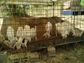 IMG_20250721_115040