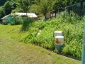 IMG_20250721_115419