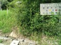 IMG_20250722_090641