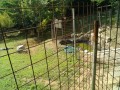 IMG_20250722_091141