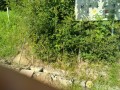 IMG_20250723_081957