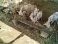 IMG_20250723_082603