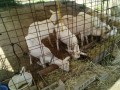 IMG_20250723_082611