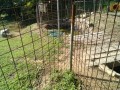 IMG_20250723_082623