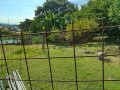 IMG_20250723_082625