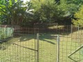 IMG_20250723_082849