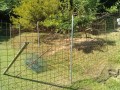 IMG_20250723_082853