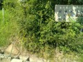 IMG_20250724_084322