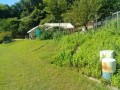 IMG_20250724_084411