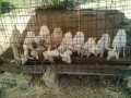 IMG_20250724_084926