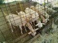 IMG_20250724_084938