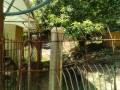 IMG_20250724_084942