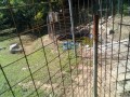 IMG_20250724_084959