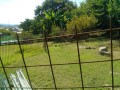 IMG_20250724_085001