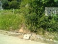 IMG_20250725_090339