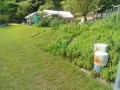 IMG_20250725_090448