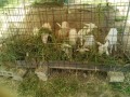 IMG_20250725_090906