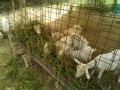 IMG_20250725_090911