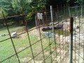 IMG_20250725_090942