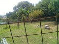 IMG_20250725_090944