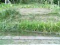 IMG_20250725_184128
