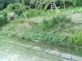 IMG_20250725_184132
