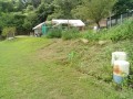 IMG_20250726_094231