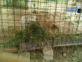 IMG_20250726_094818