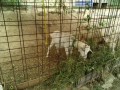 IMG_20250726_094852