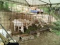 IMG_20250726_095026