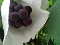 IMG_20250726_113453