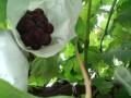 IMG_20250726_113501