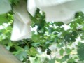 IMG_20250726_113502