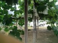 IMG_20250726_113504