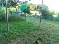IMG_20250726_171710
