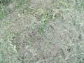 IMG_20250726_172932