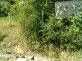 IMG_20250727_091943