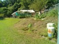 IMG_20250727_092024