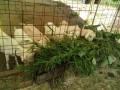 IMG_20250727_093331