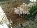 IMG_20250727_093349