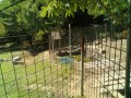 IMG_20250727_093419